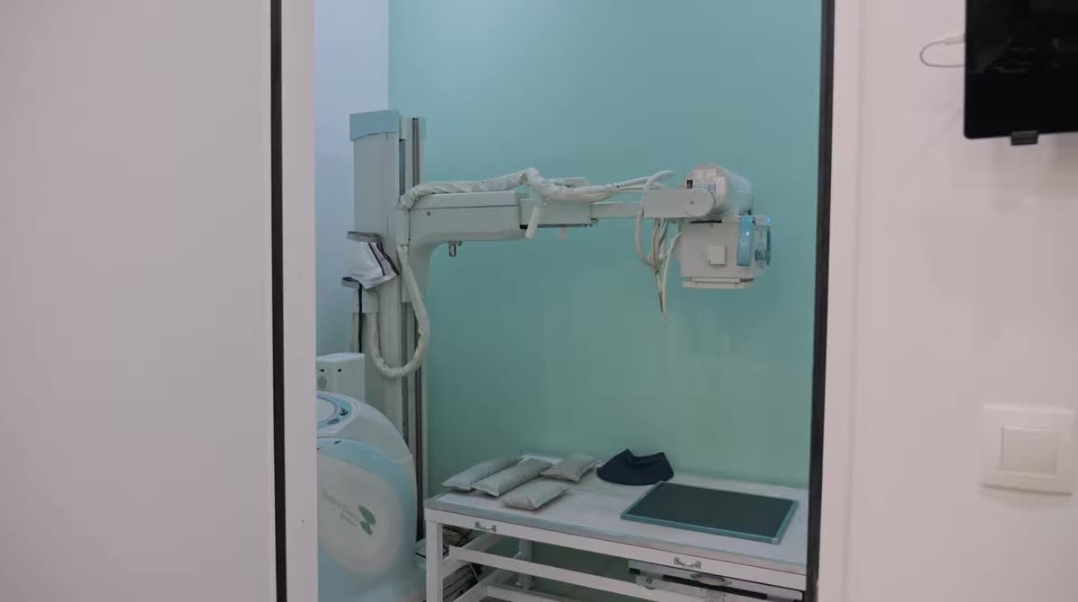 Καρέ από Κτηνιατρείο Ιλίου